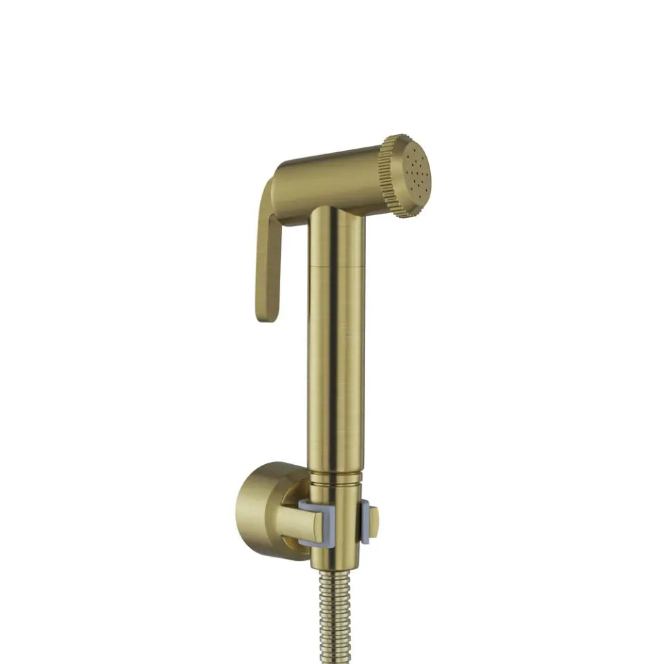 ALD-ABR-573GB HAND SHOWER (HEALTH FAUCET) WITH 8MM DIA 1 METER LONG FLEXIBLE TUBE AND WALL HOOK