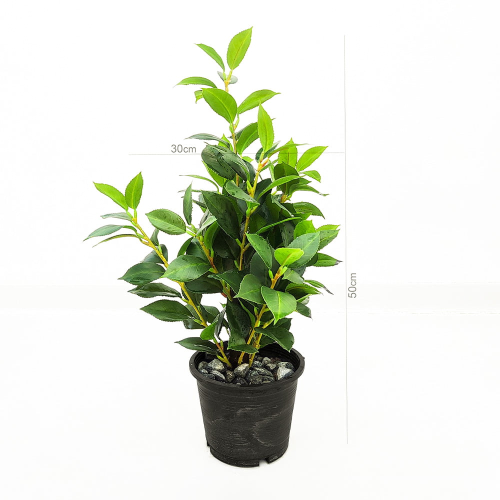 Elegant Foliage Ensemble In Midnight Harmony Vase