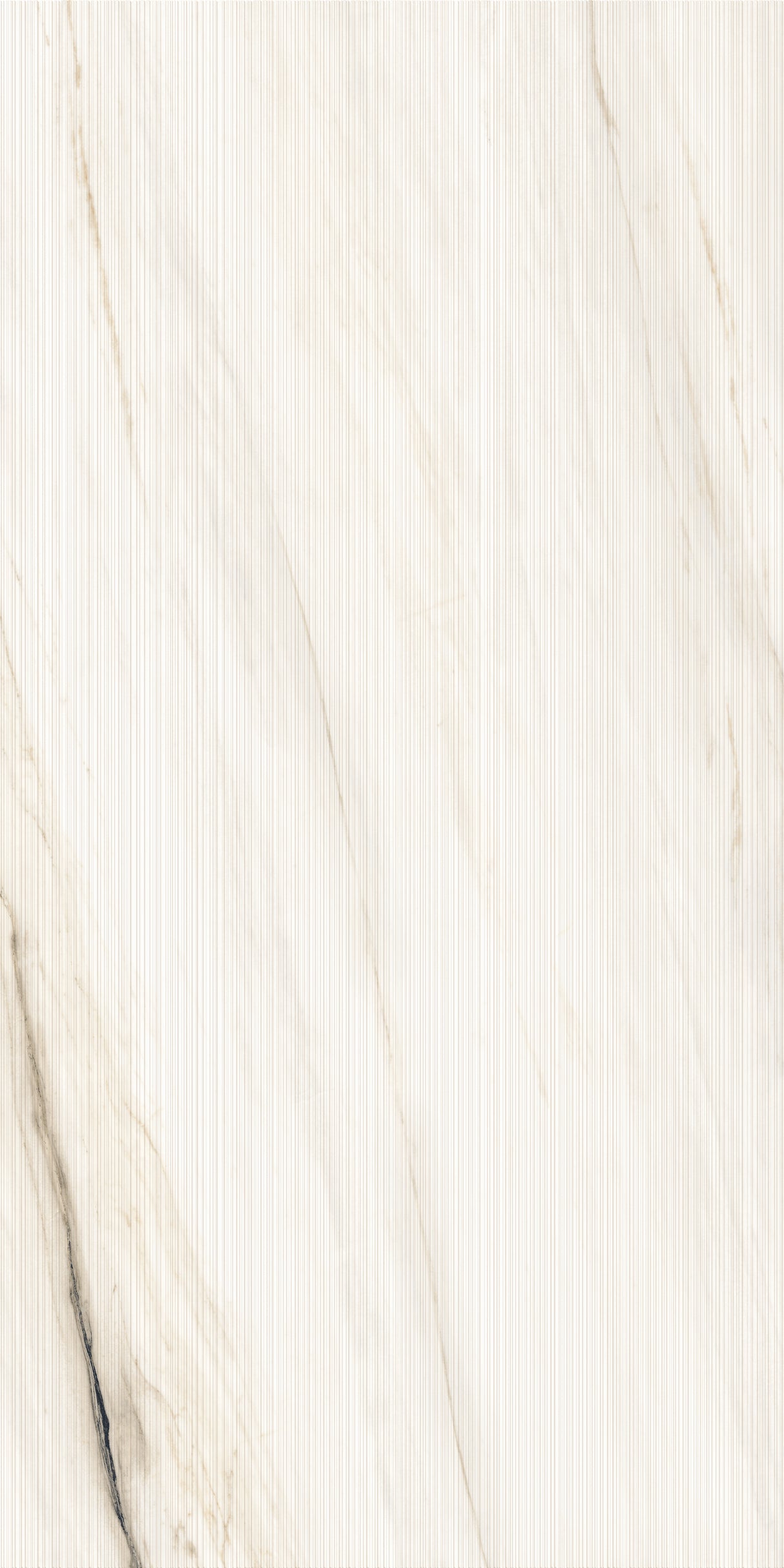 1200*2400 - Bianco Oro Linear (Shape)(4D) (1,2.88)