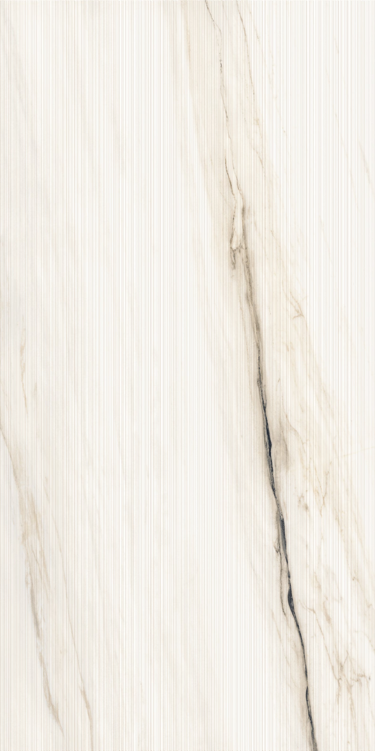 1200*2400 - Bianco Oro Linear (Shape)(4D) (1,2.88)