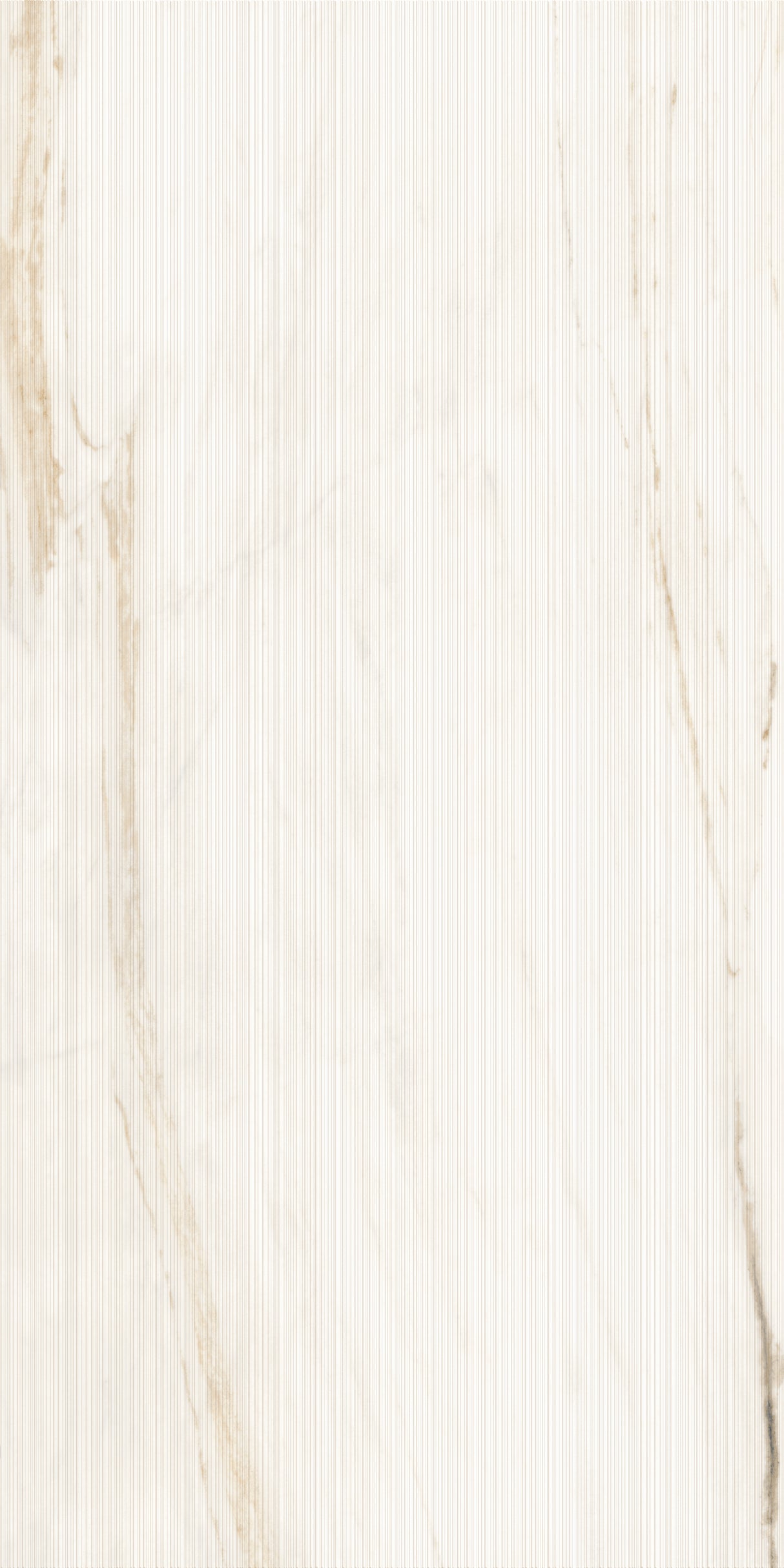 1200*2400 - Bianco Oro Linear (Shape)(4D) (1,2.88)
