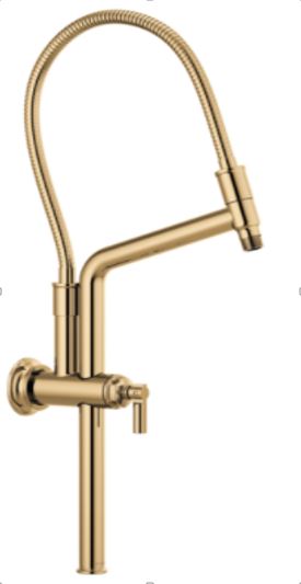 Brizo Universal Slide Bar Shower Arm & Flange – Luxe Gold