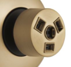 Brizo SH84101‑GL HydraChoice Massaging Spray Head