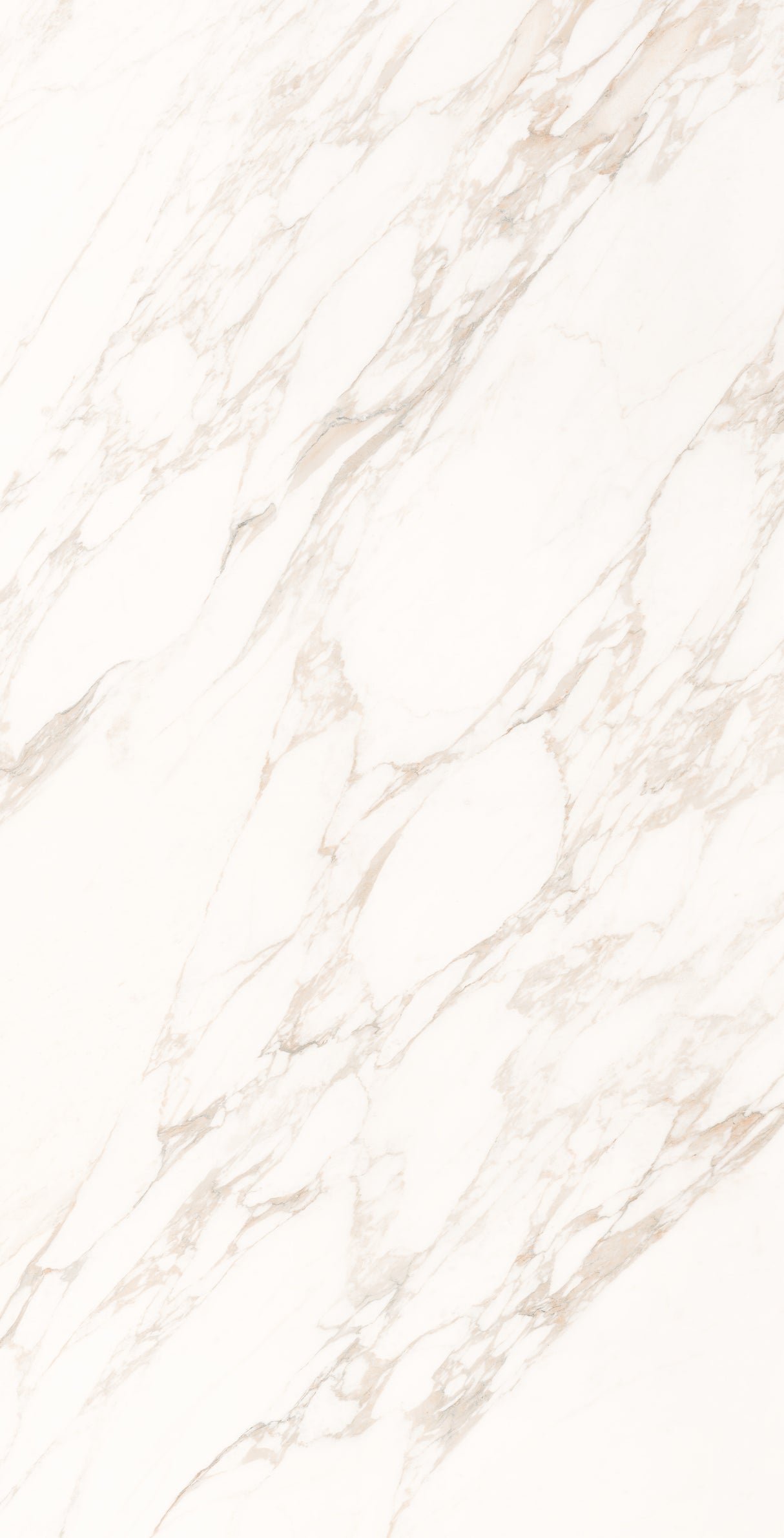 1200*2400 - Calacatta Labyrinth (Softtech) (1,2.88)