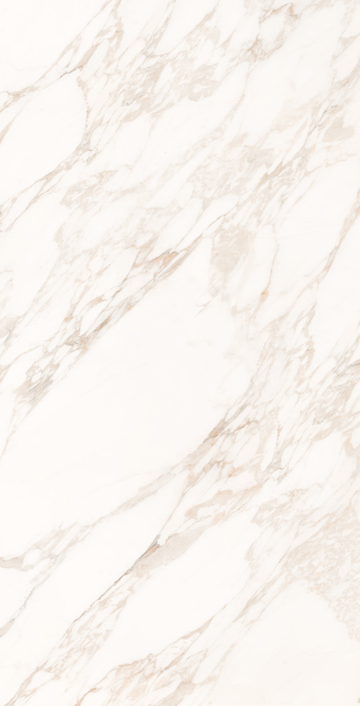 1200*2400 - Calacatta Labyrinth (Softtech) (1,2.88)
