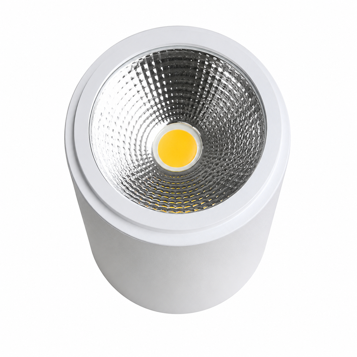 Surface-Mounted Spotlight 12W D90×H50mm Aluminium Tri-Color Adjustable Driver White XYN SL210