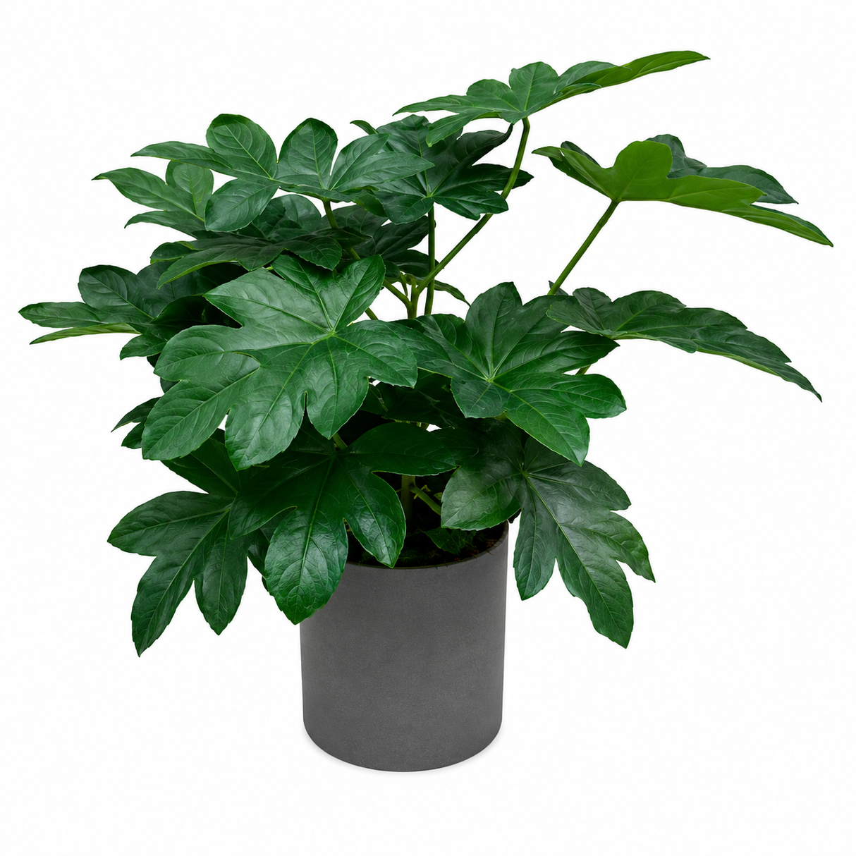 ID-AP47 Artificial Plant