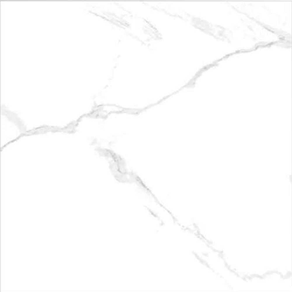 بلاطة دائرية من الساتوريون