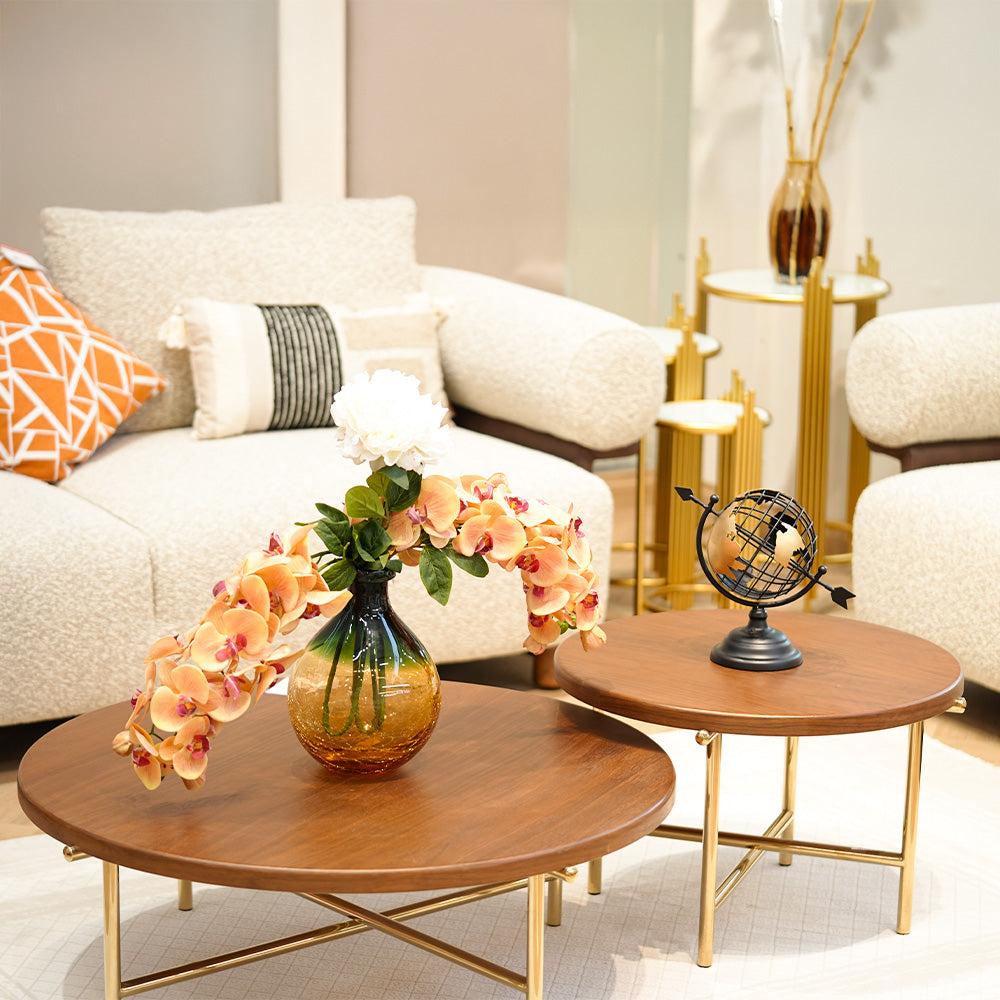 Elegant Coffee Table