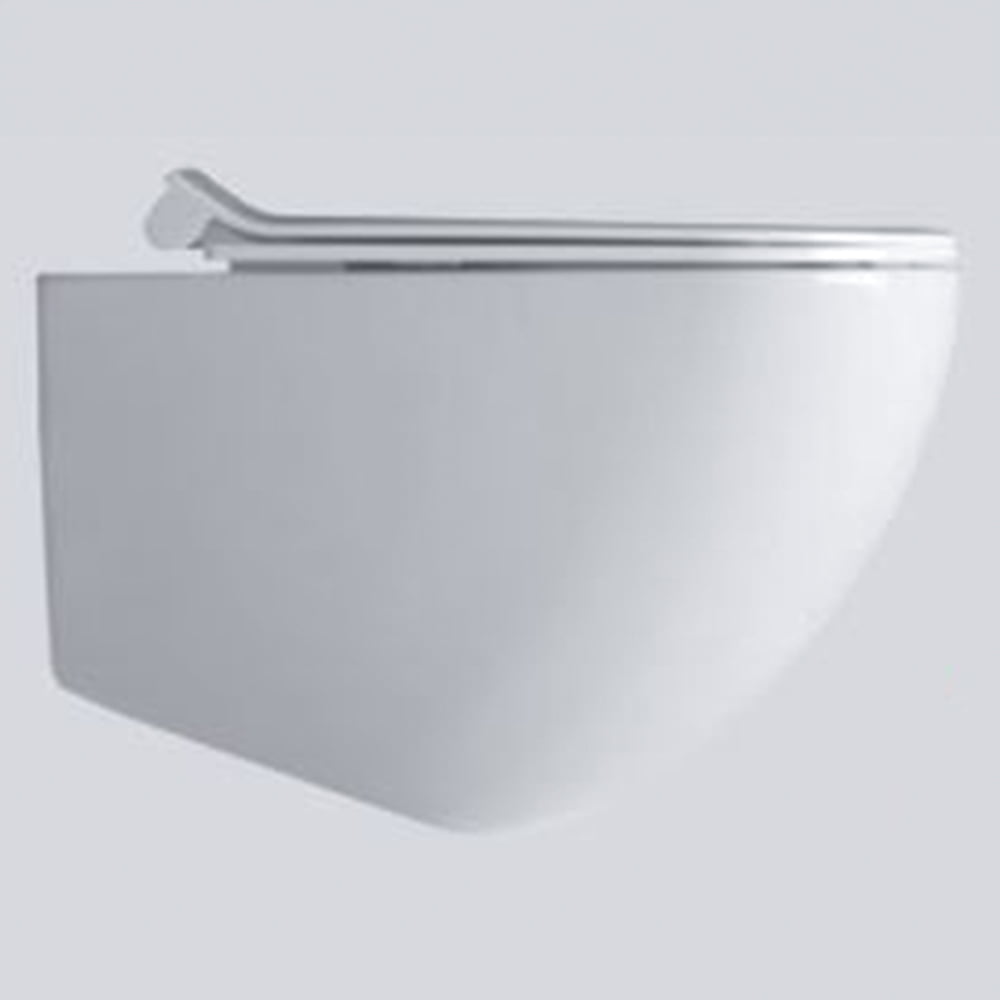 Dream Wall Hung Wc With Soft Close Slim Seat Cover