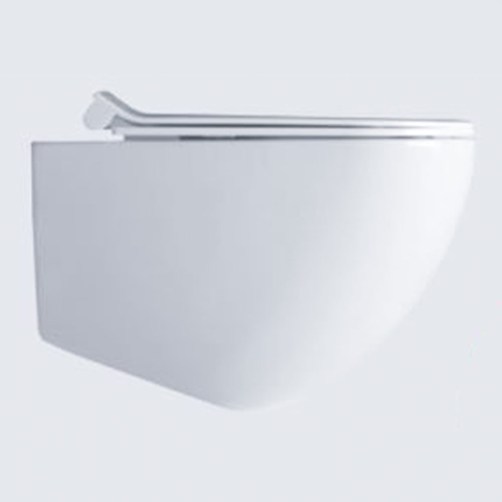 Dream Wall Hung Rim Away Toilet Wc White
