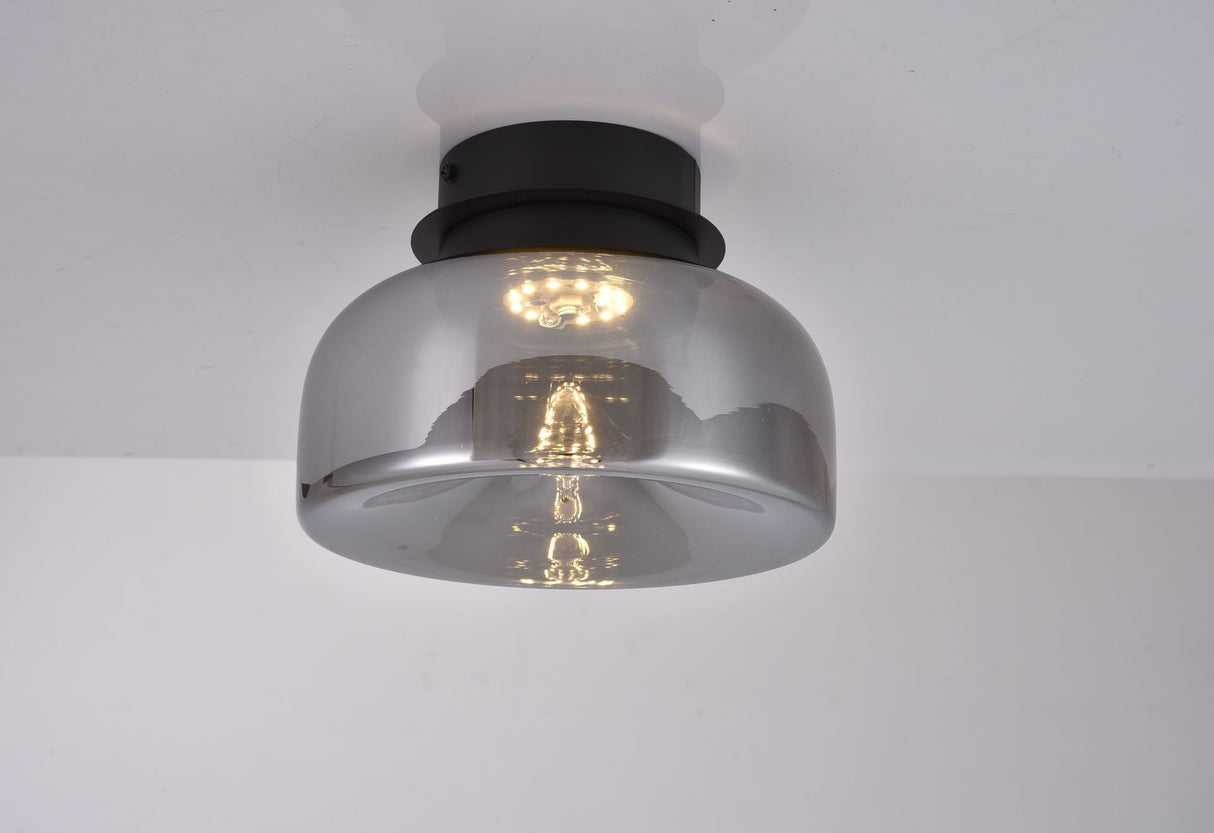 Ceiling lamp-SM2332C2-D300 × H 190-Black+Smoke Grey-Aluminum+ Glass