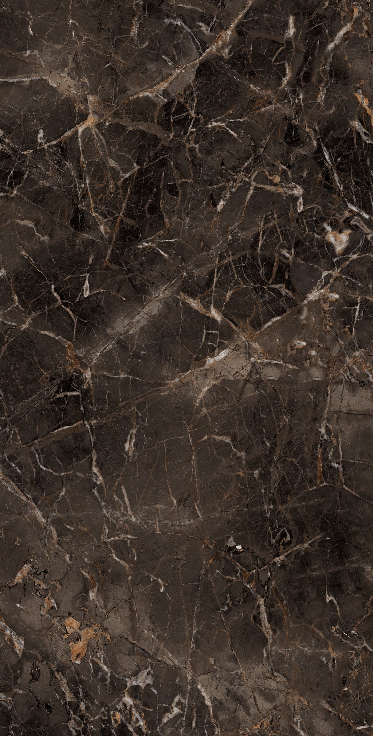 1200*2400 - Empress Choco (High Glossy)(Reflect) (1,2.88)