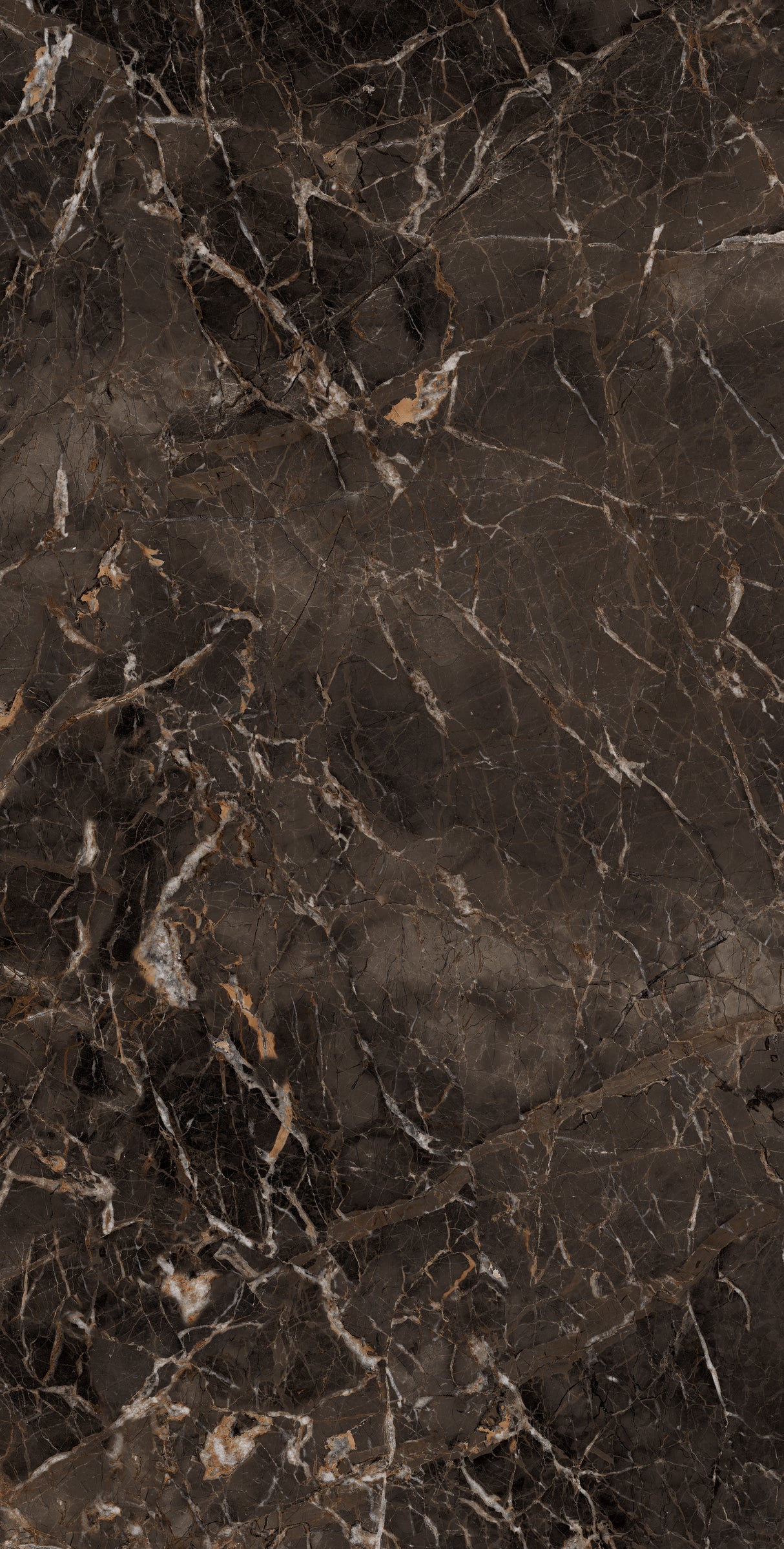 1200*2400 - Empress Choco (High Glossy)(Reflect) (1,2.88)