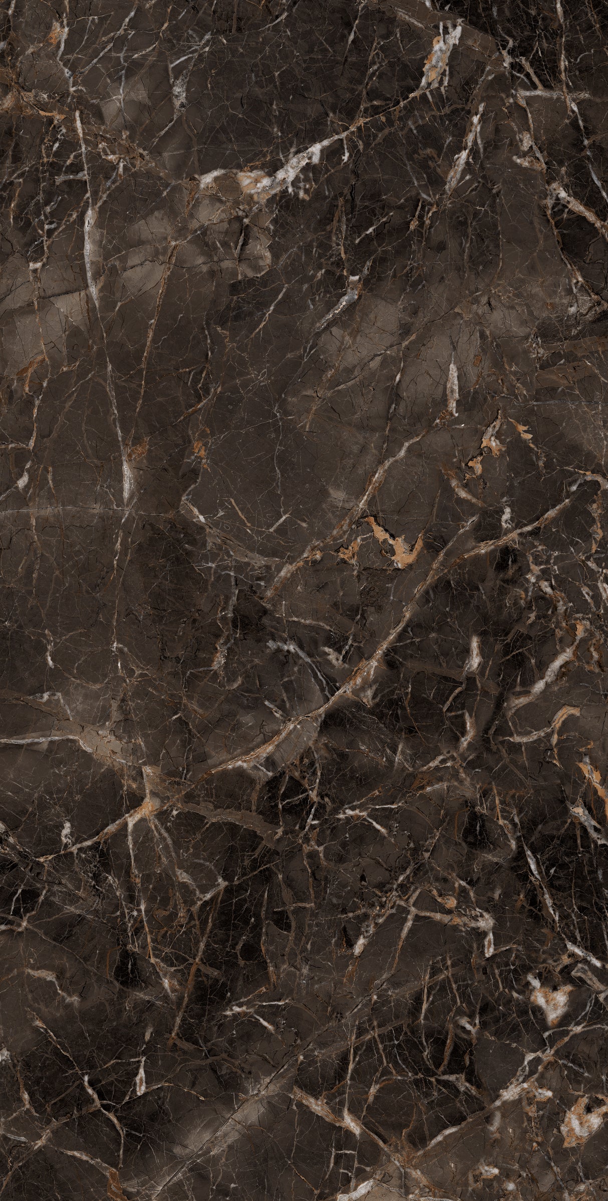 1200*2400 - Empress Choco (High Glossy)(Reflect) (1,2.88)