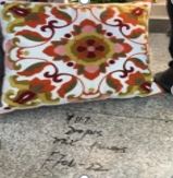 FFO10-22 Decorative Pillow Cover