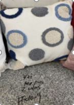 FFO10-9 Decorative Pillow Cover