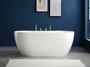 Freestanding Bathtub with Brushed Gold Mixer 1700*800*580 EW-016