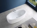 Freestanding Bathtub with Mixer