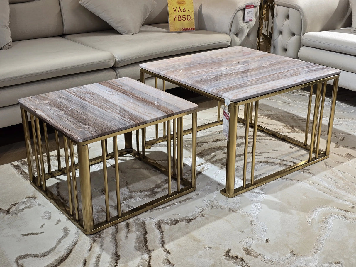 Compact Coffee Table – H051#