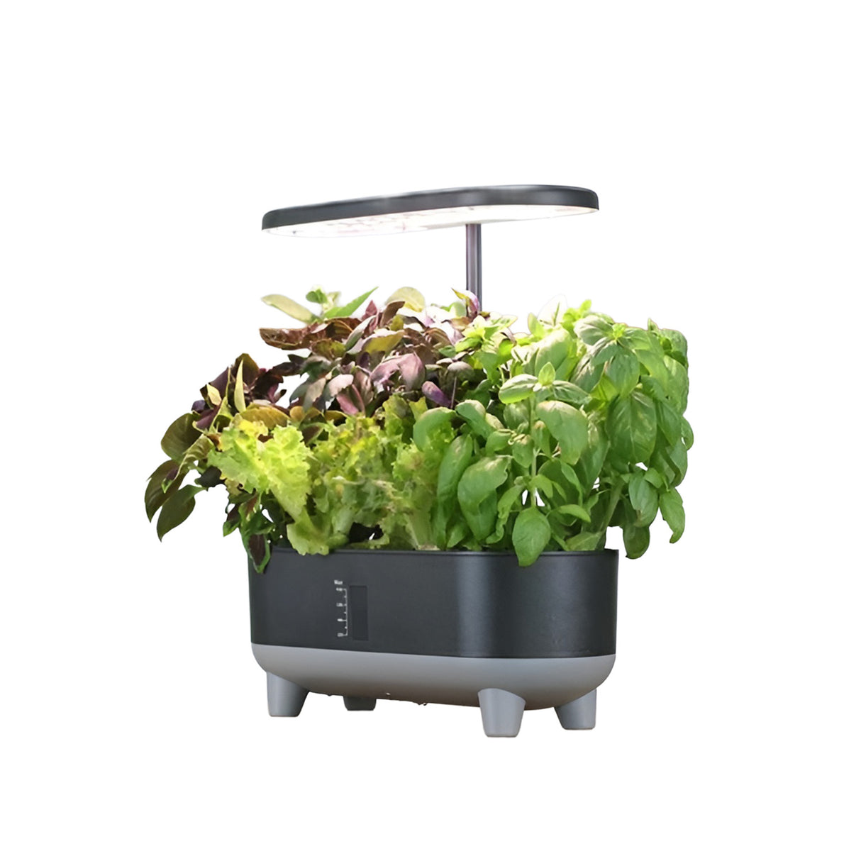 Hydrophonic planter Z247