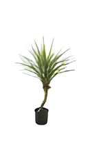ID-AP2 Artificial Plant 75CM