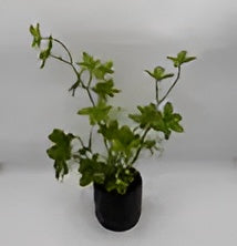 ID-AP44 Artificial Plant