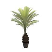 ID-AP6 Artificial Plant