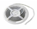 Kodion - Strip Light Smd 5050 Ip20 - KOD20-2835-24LM-WH