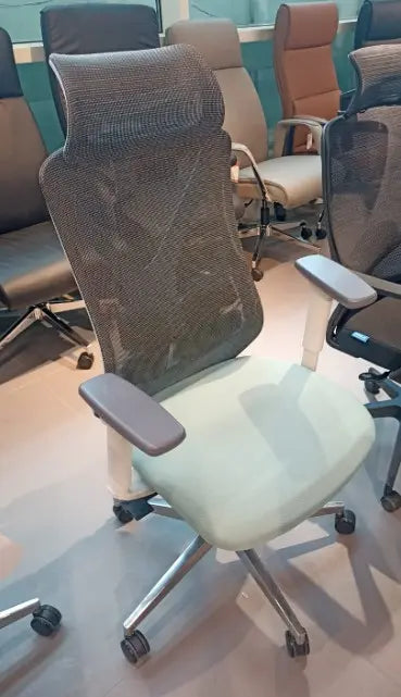 Ergonomic Office Chair LM-177A-1