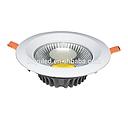 Led COB-2 Spotlight 12W 6500k LM