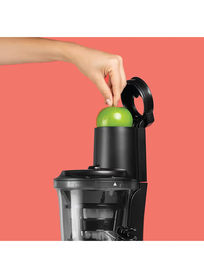 Slow Juicer NB-SJ300