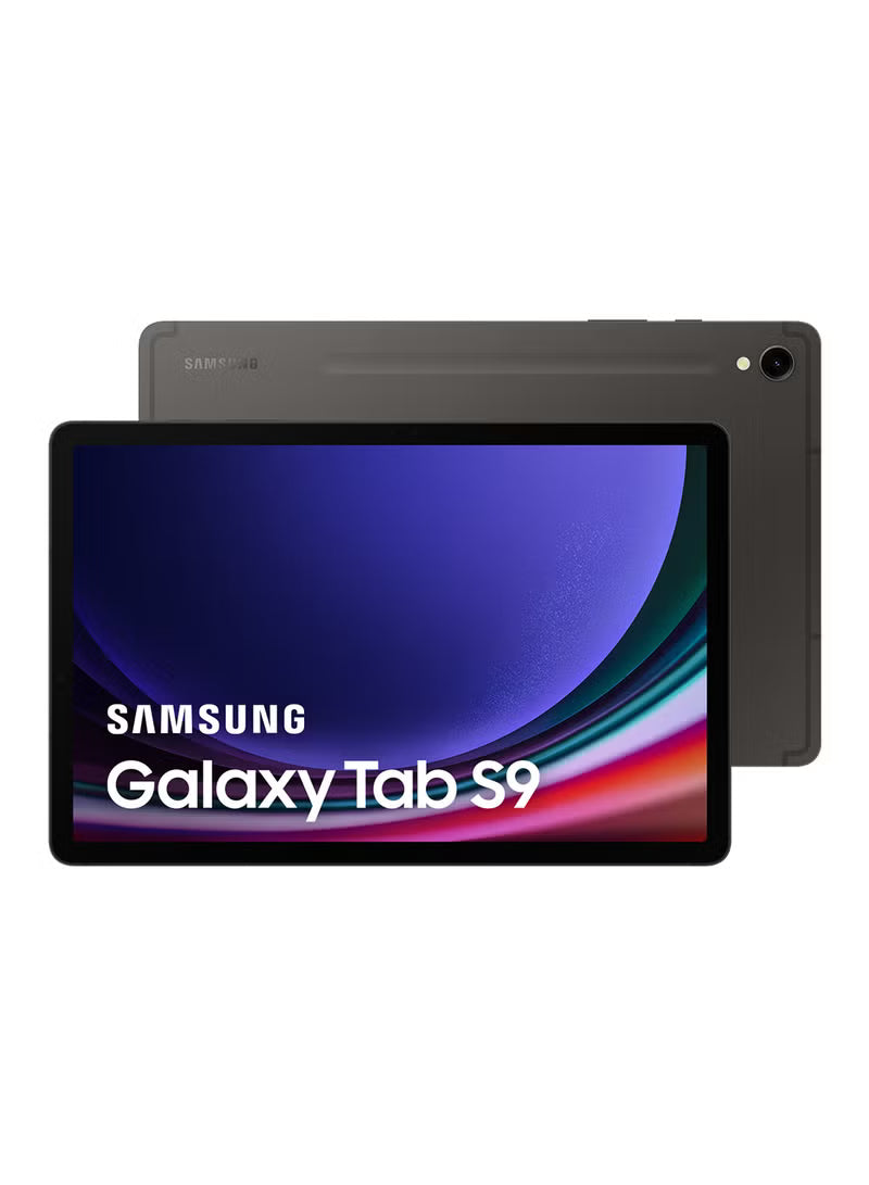 Galaxy Tab S9 Graphite 12GB RAM 256GB 5G - Middle East Version