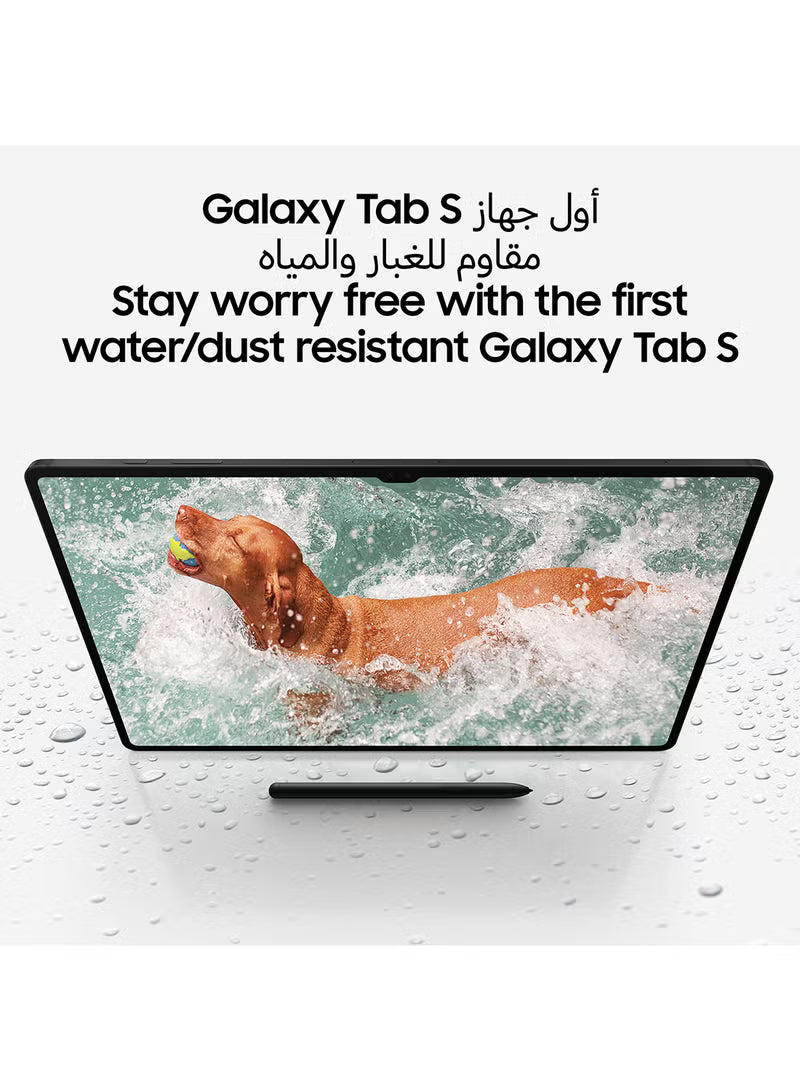 Galaxy Tab S9 Graphite 12GB RAM 256GB 5G - Middle East Version