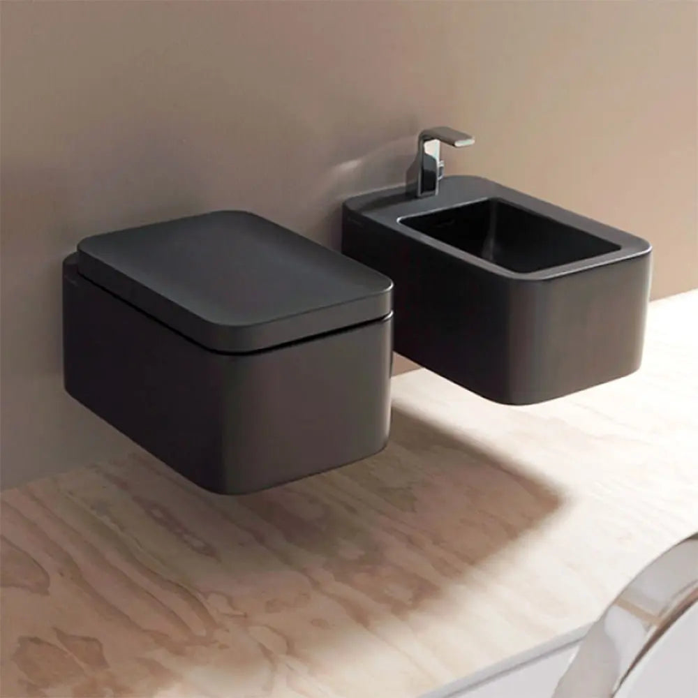 Nile Wall Hung Wc With Go Clean System BuyonBudget