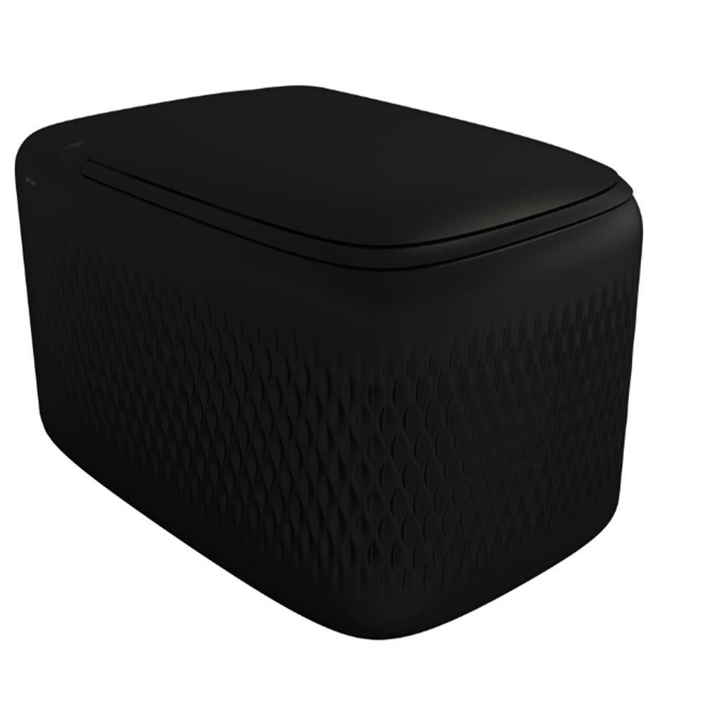 New Age Rimless Wall Hung Seat & Cover