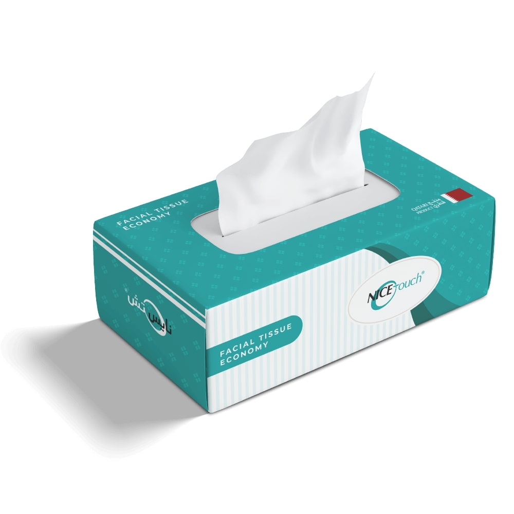 Nice Touch Facial Tissue - Economy (30 Box)