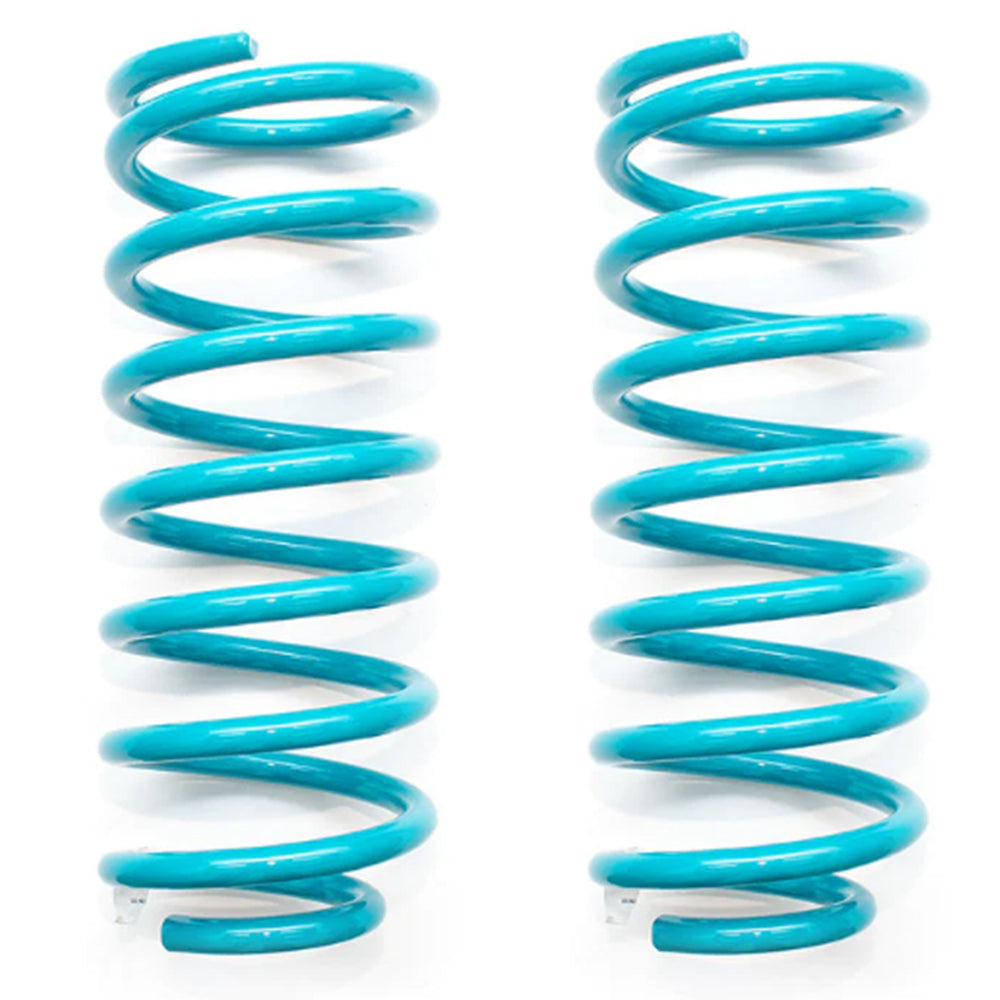 Dobinson Rear Coil Spring Standard Lift