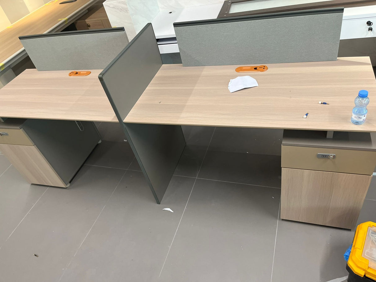 Office Work station (2 Seater)