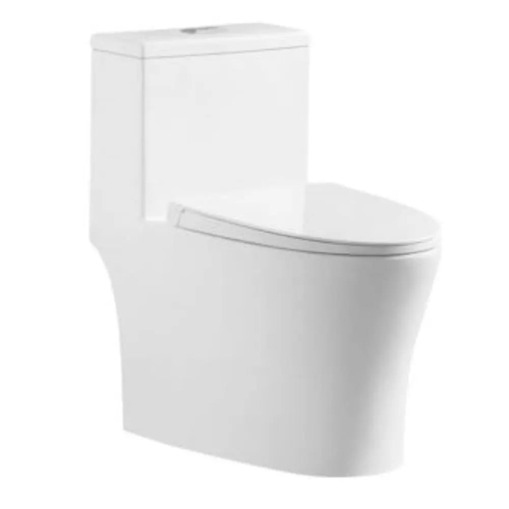 One Piece Toilet Floor Mounted White BuyonBudget