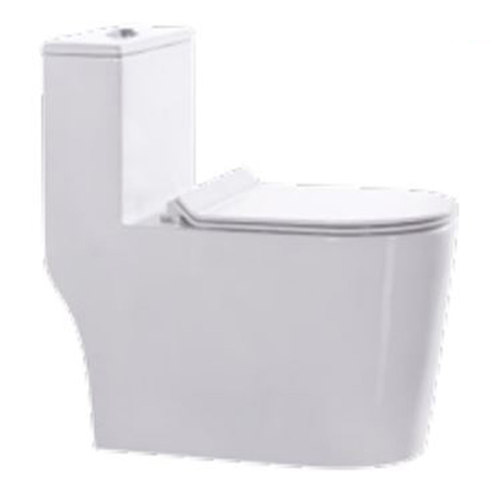 One-piece Toilet