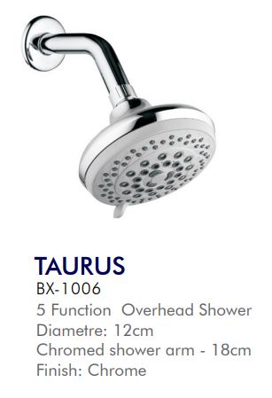 Overhead Shower Set