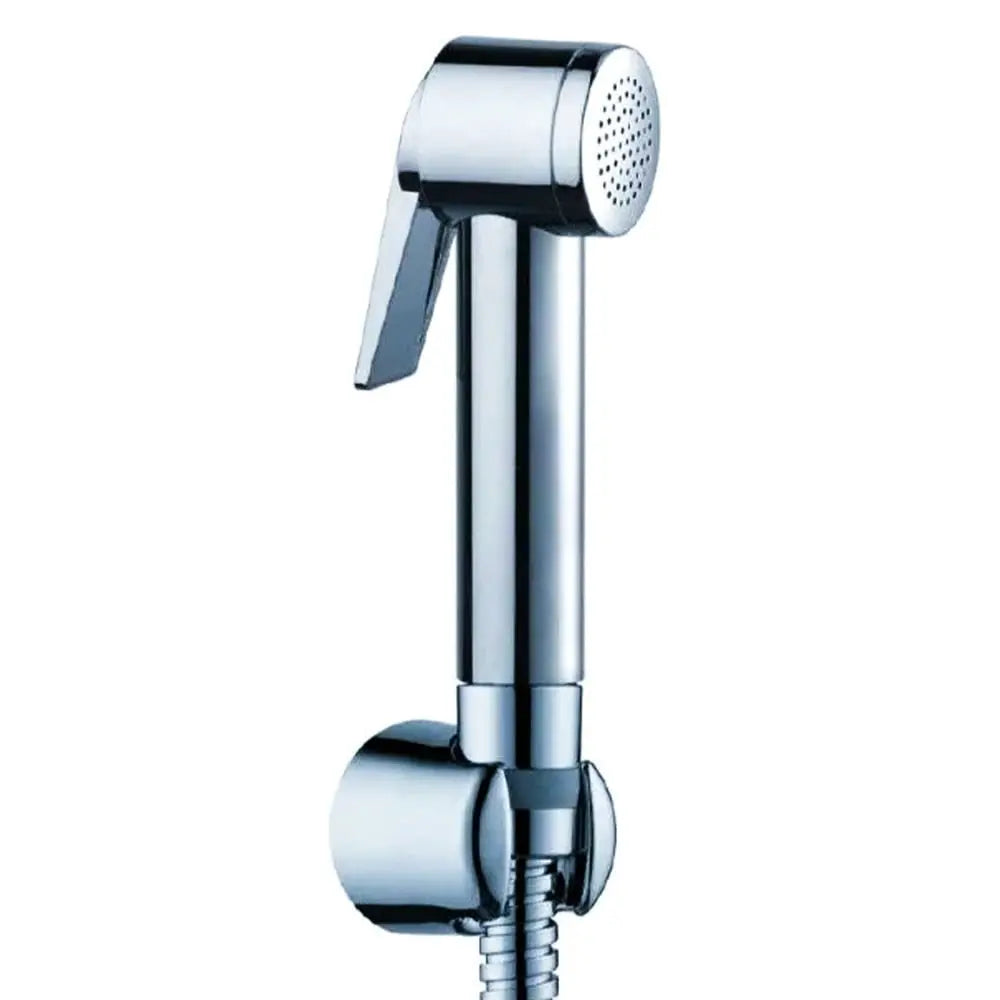 Paloma Hand Shower Chrome BuyonBudget