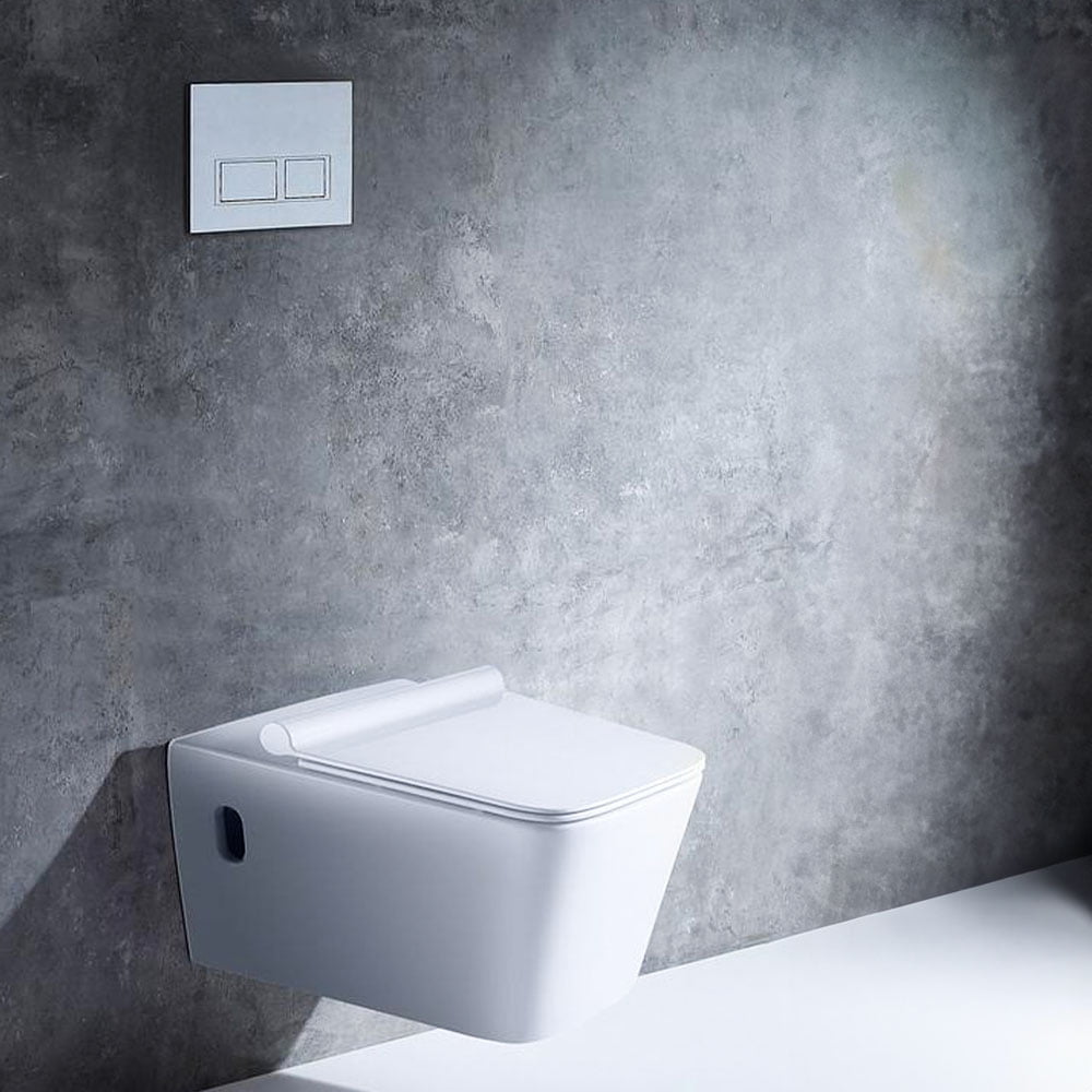 Smoow Wall Hung Toilet With Concealed