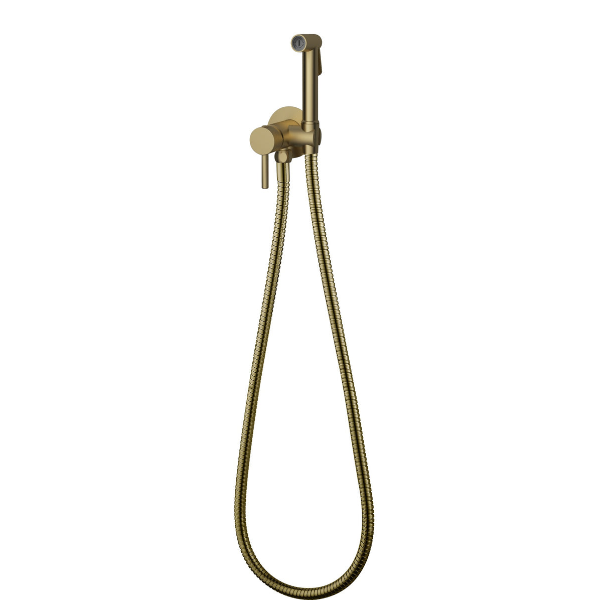 Brushed Gold Spray Shower Set