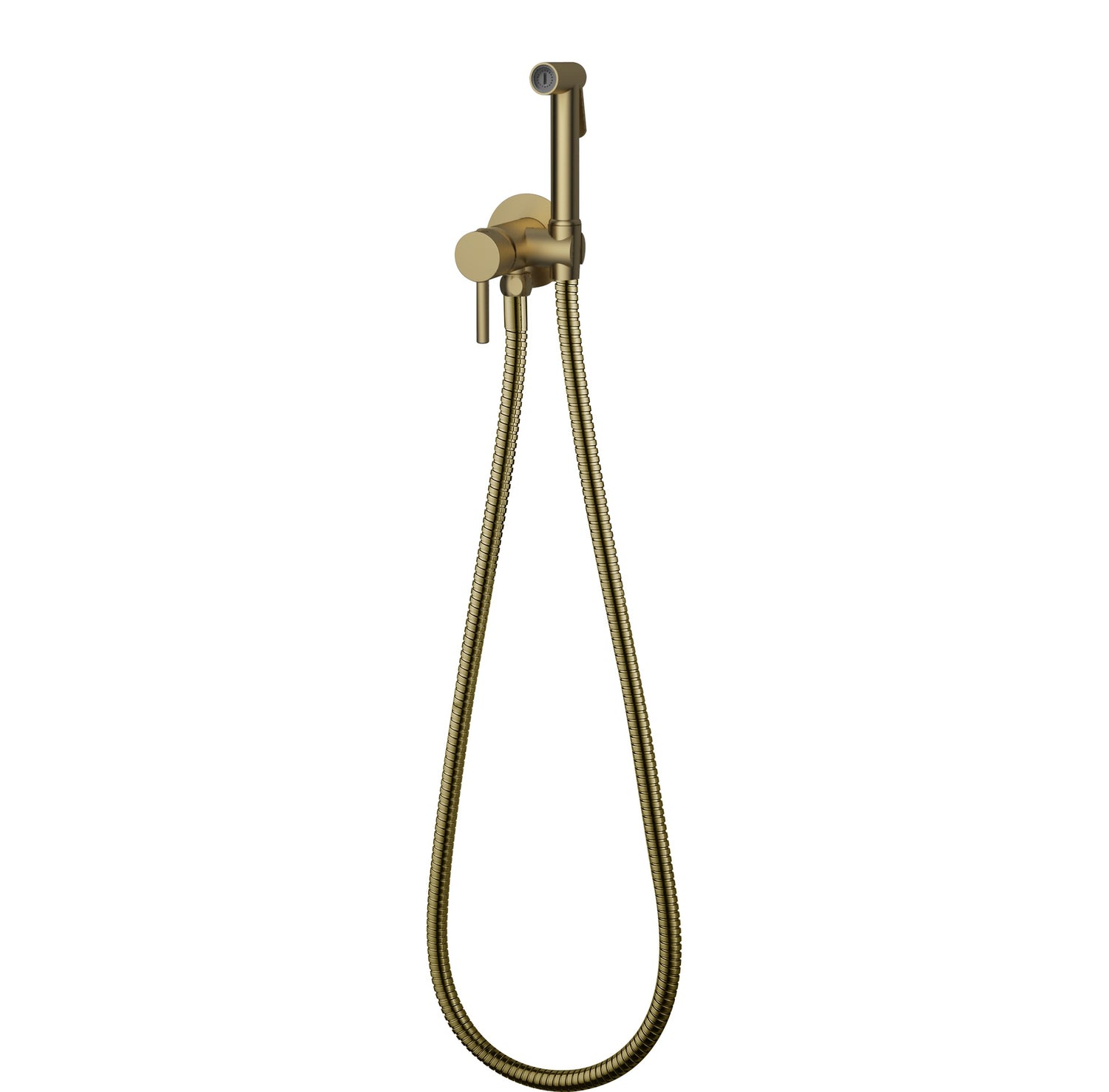 Brushed Gold Spray Shower Set