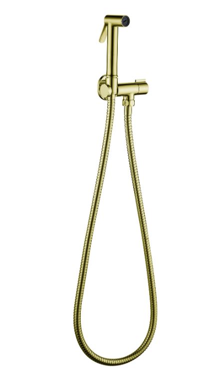Brushed Gold Spray Shower Set – Single Cold Water | Model P012687 (178781)