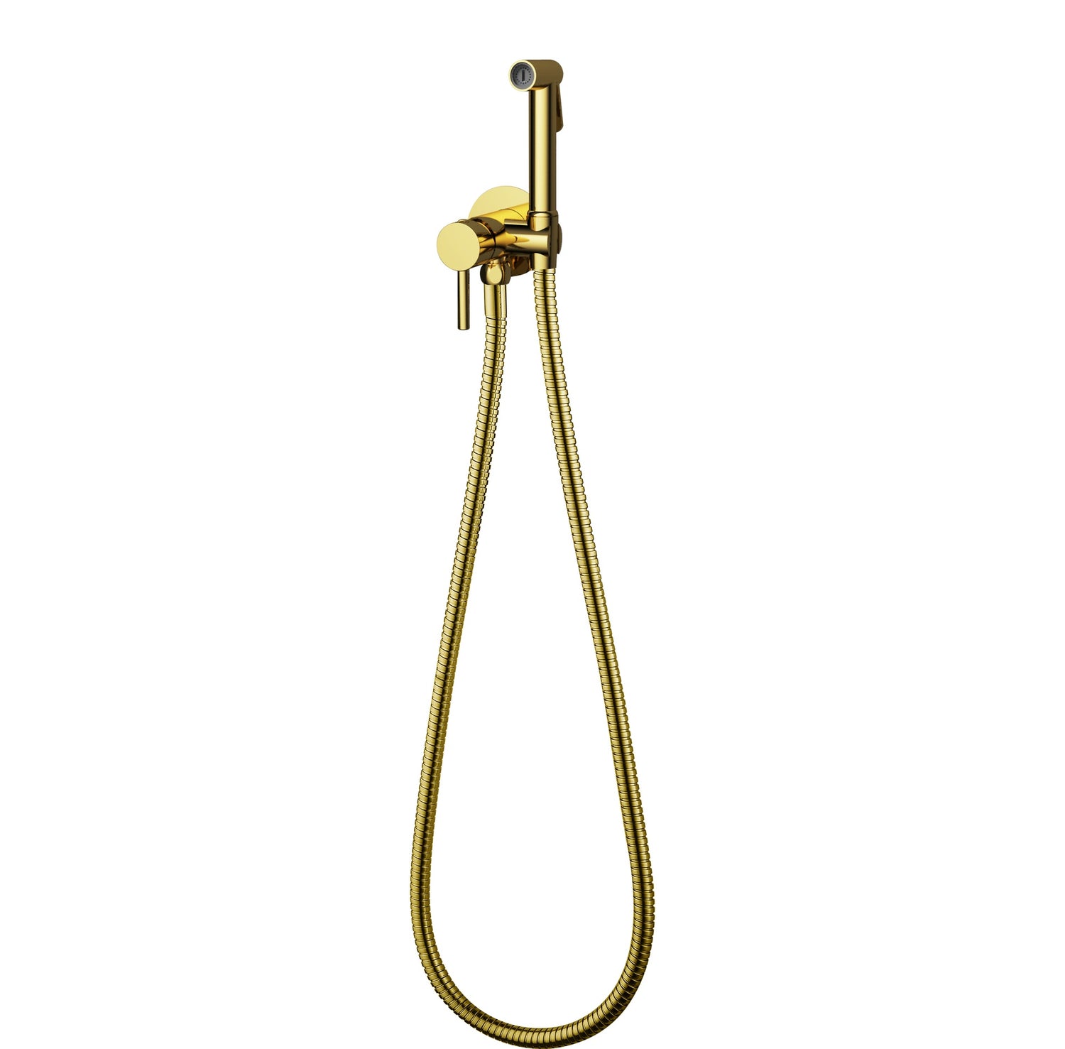 Gold Spray Shower Set