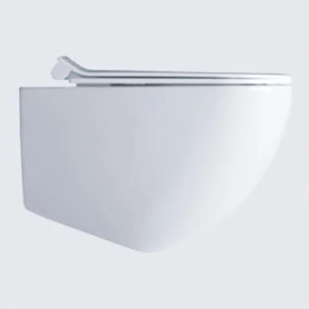 Wc Wall Hung Thermosetting Extra Slim Seat Cover White Matt -7314mt BuyonBudget