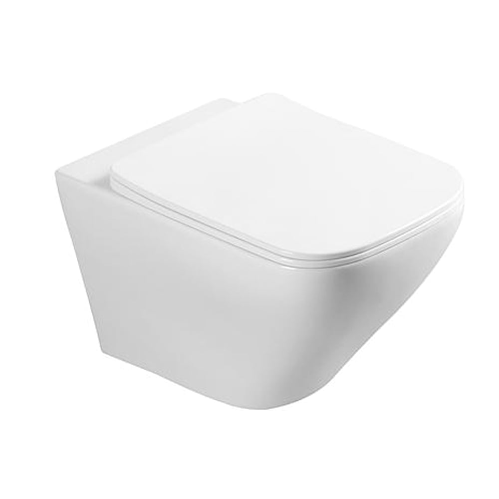 Wall Hung Toilet White